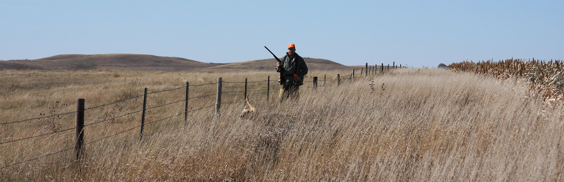 Small Group Pheasant Hunts