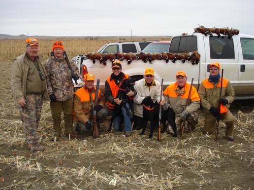 Pheasant Hunting Photo