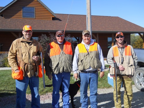 Pheasant Hunting Photo