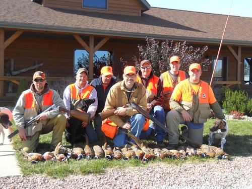 Pheasant Hunting Photo