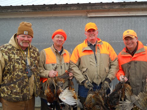 Pheasant Hunting Photo