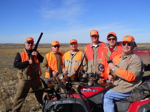 Pheasant Hunting Photo