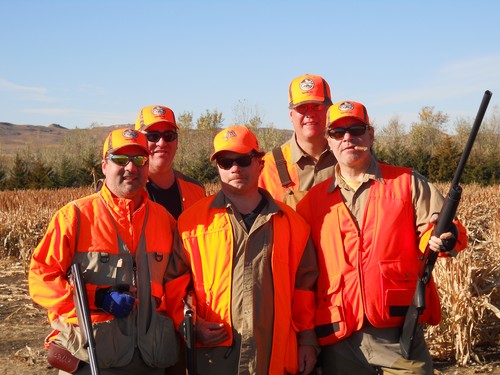 Pheasant Hunting Photo