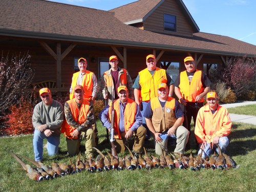 Pheasant Hunting Photo