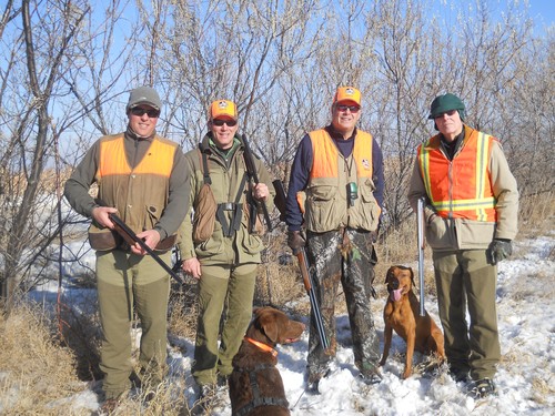 Pheasant Hunting Photo