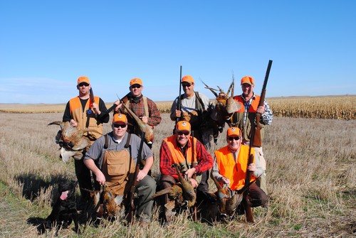 Pheasant Hunting Photo