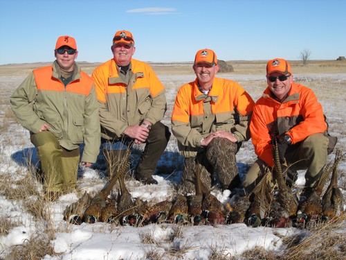 Pheasant Hunting Photo