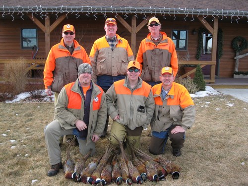 Pheasant Hunting Photo