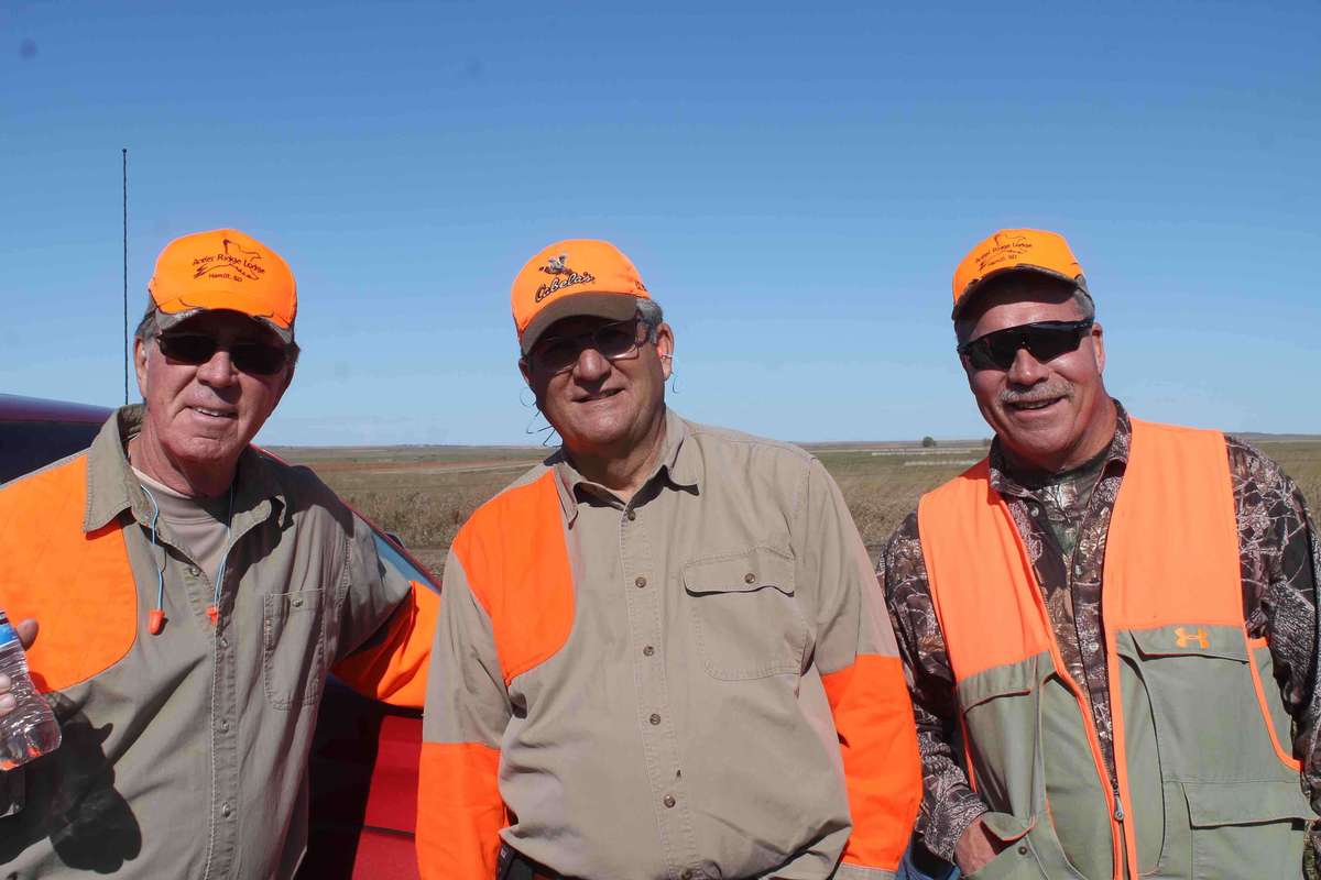 Pheasant Hunting Photo