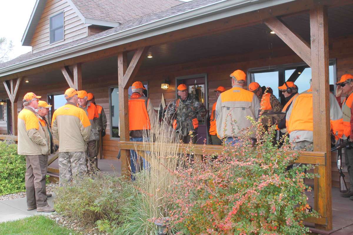 Pheasant Hunting Photo