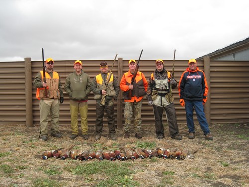 Pheasant Hunting Photo