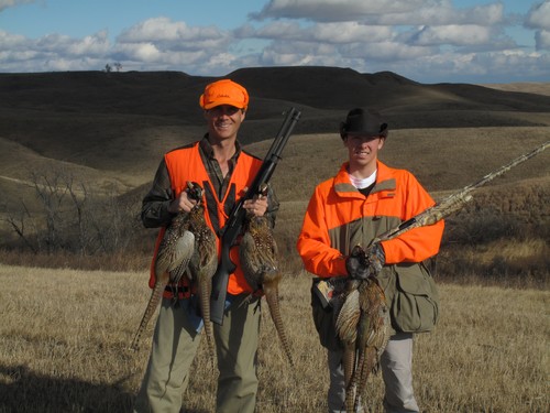 Pheasant Hunting Photo