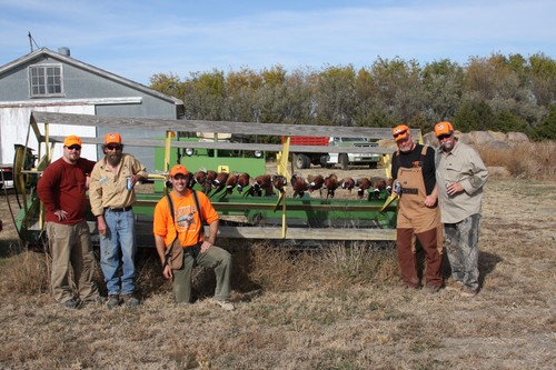 Pheasant Hunting Photo