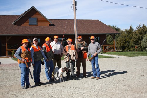 Pheasant Hunting Photo