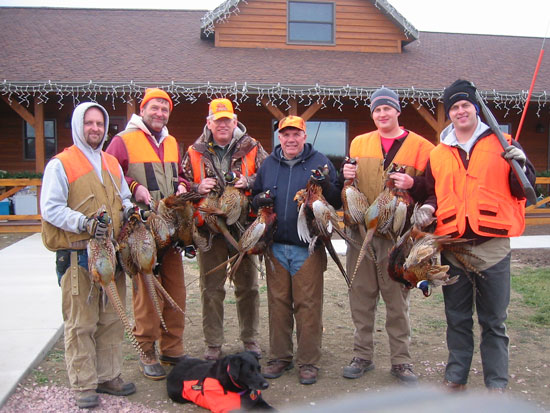 Pheasant Hunting Photo