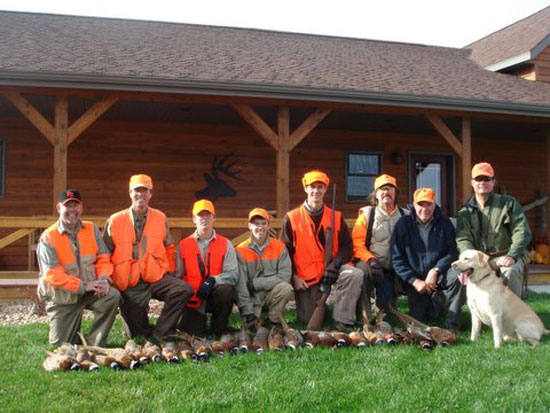 Pheasant Hunting Photo