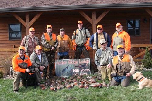 Pheasant Hunting Photo