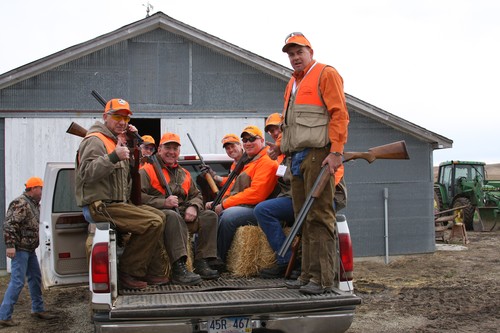 Pheasant Hunting Photo