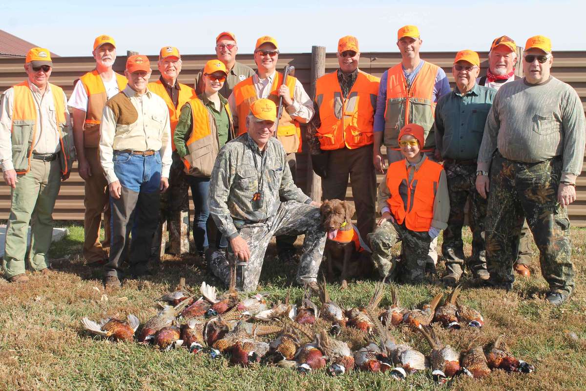 Pheasant Hunting Photo