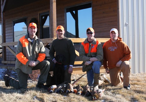 Pheasant Hunting Photo