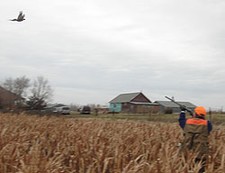 John Gosselin Publisher Upland Almanac Journal takes aim at a pheasant on a November 9, 2006 hunt.