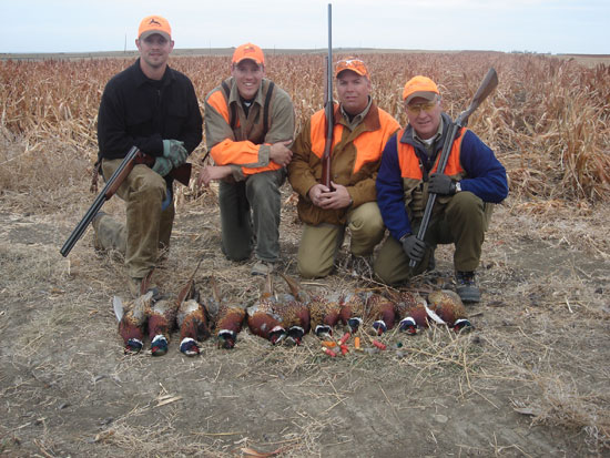 Pheasant Hunting Photo